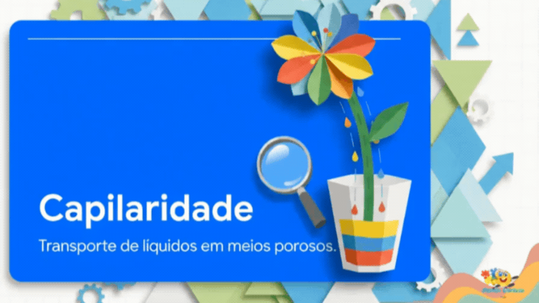 video decisão (2)
